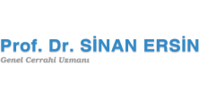 Prof. Dr. Sinan Ersin